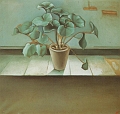 1924_14 Plant 1924